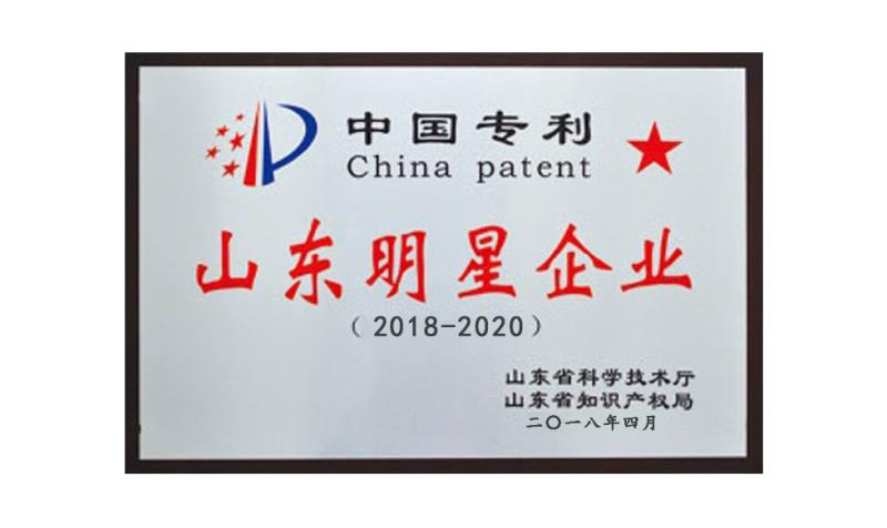 山東省明星企業